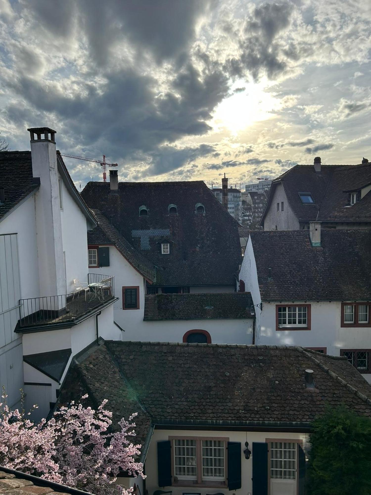 Rheinstream Guesthouse Basilea Exterior foto