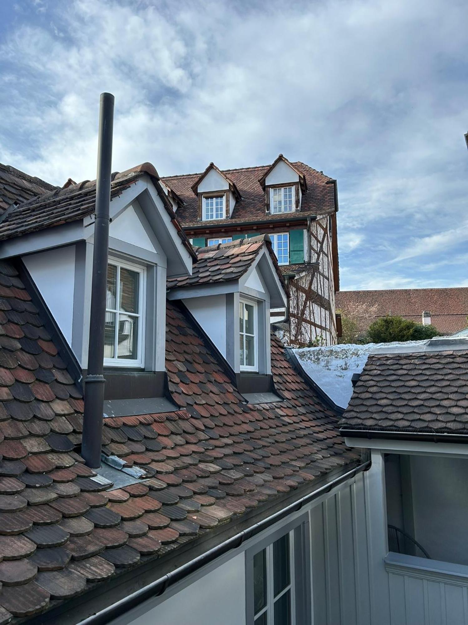Rheinstream Guesthouse Basilea Exterior foto